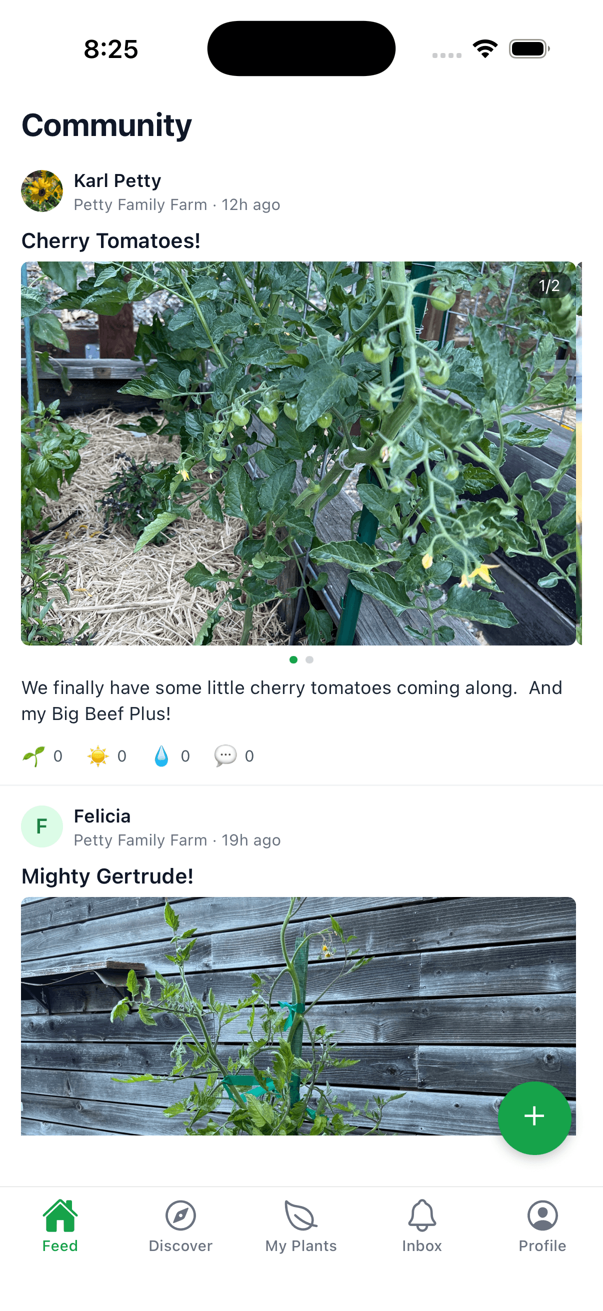 Community feed on the iOS app β photos and posts from the gardeners you follow